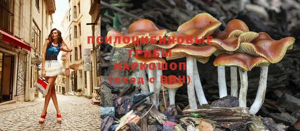 МДПВ Навашино