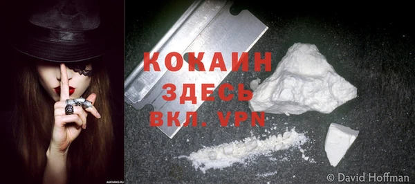 твердый Нея