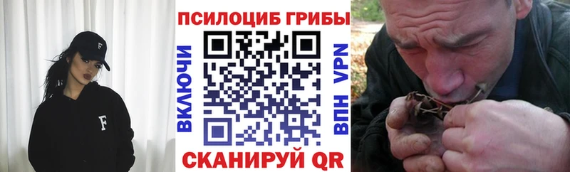 Псилоцибиновые грибы Psilocybe  ссылка на мегу зеркало  Янаул  закладки 